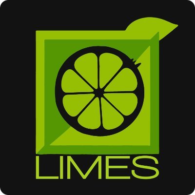 Boasting over two decades of experience across both the public and private sectors, Limes Consultancy Ltd adds a zesty twist to the world of consultancy.