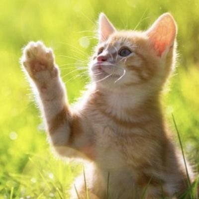 私は、肌の色や音楽や年齢や性別や食べ物や宗教等は、国境は無いと思っています。
誰でも気軽に友達だと考えています。
寄り添うことや尊重は大事だと
しかし、大切なものを守るための暴力は言葉を選んでしまいます。
今のあなたは、立体的に見たときに過去も大事だから
ゆっくり、ゆっくりお友達の時間を長く過ごしていきましょう✨