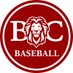 @BCLionsBaseball