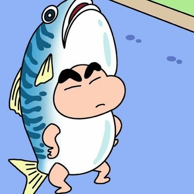 miso_raaz's profile picture. 