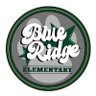 BlueRidgeElem's profile picture. 