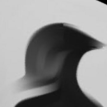9she_'s profile picture. " وَ يُعْجِبُني الفَألُ "
