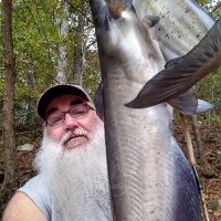 Fishreaper (@fishreaperwayne) 's Twitter Profile Photo