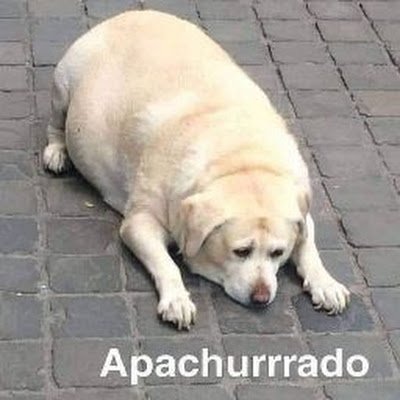 pp119arbizon's profile picture. 