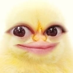 alger0u1's profile picture. WYGIHIG