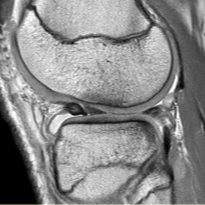 radHQ_net's profile picture. Most active and fastest growing online radiology community with useful radiology resources.