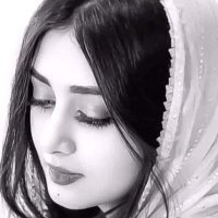 ✨Hamsa✨ (@fiuwefvcvd48aww) Twitter profile photo