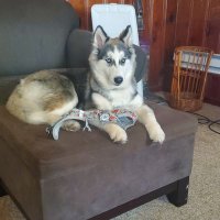 Billy Blu3 (@minimumwageman) 's Twitter Profile