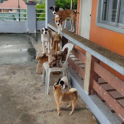 donnieboyyyyyy's profile picture. 