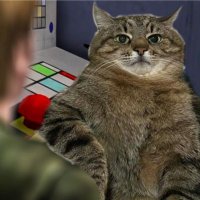 Stivizz (@stivizz) 's Twitter Profile Photo