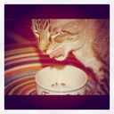 Ben Eisenberg - @MonkeyBensVlogs - Twitter