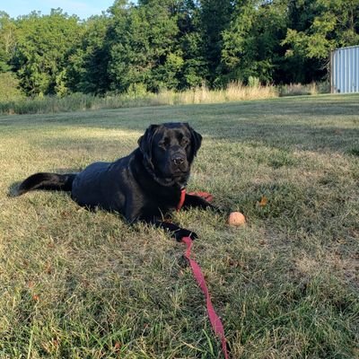 jdmom26's profile picture. 