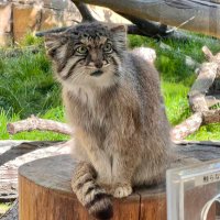 Dave Benjamin (@d48044) 's Twitter Profile