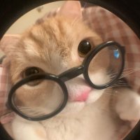 Cata_st (@cata_acv) 's Twitter Profile