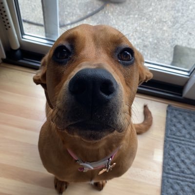 adamflake71's profile picture. 