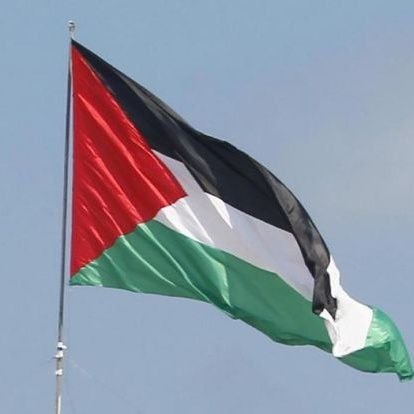 Está cuenta solo estará disponible para apoyar a Palestina. Hasta que cesen los asesinatos y la ocupación.