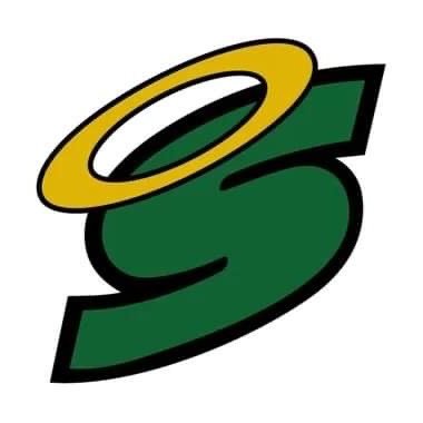 Recently formed non-profit local organization promoting the growth of Seton Catholic Sports