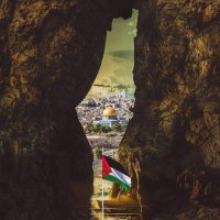 🇵🇸 علي دي بيب (@alidpep) 's Twitter Profile Photo 🇵🇸 علي دي بيب (@alidpep) 's Twitter Profile Photo