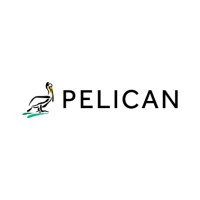Pelican Wireless(@PelicanWireless) 's Twitter Profile Photo