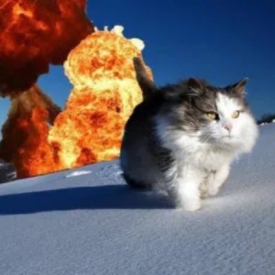 Hit me up if you wanna collab!!