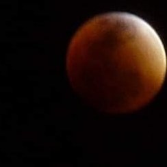 Christophe99805's profile picture. 