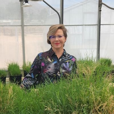 Turfgrass breeder. Assistant Professor - Mississippi State University.
