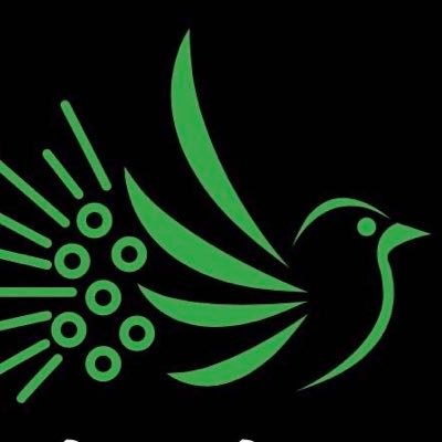 ネット対戦用バーチャル雀荘 雀魂アプリ、PayPay登録必須🀄️ 誰でも気軽にフリーで打てます^^ 詳しくはDMまで!