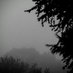 Sharon Trebus (@sharontrebus1) Twitter profile photo Sharon Trebus (@sharontrebus1) Twitter profile photo