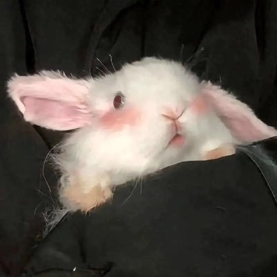 RealGabriellaaa's profile picture. 
