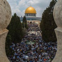 ابوسولاف (@r6adrbiovwlbw8y) 's Twitter Profile Photo