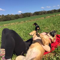 CATÉIRE עם ישראל חי (@cateire) 's Twitter Profile Photo