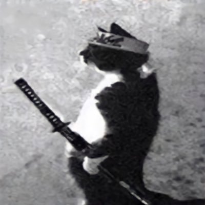 shahFANG's profile picture. 