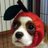 osige's profile image