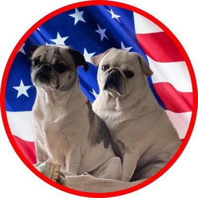 Retired NY’er, Love my family, MAGA, philosophy, U.of S.C. and my PUGS. With time to read everything and looking at the world today-I’m petrified at what I see.