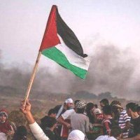 Mahmoud Adel (@mahmoud94537454) Twitter profile photo