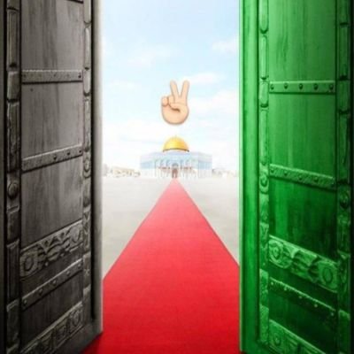 Ghenwa96871677's profile picture. 