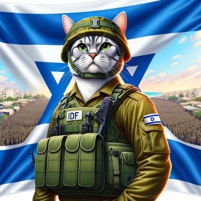 Decolonial Zionism 🇮🇱 (Non Jewish)