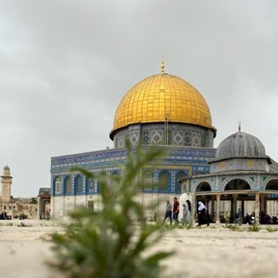 Yusra_Afra's profile picture. "Sen ve ben gafletini aşıp, biz olanların rızkıdır aşk.’’