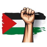 radwa🇵🇸 (@radwa_abofarw) 's Twitter Profile