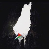بــســڼۨــٺ 🇵🇸 (@basant_nageb) 's Twitter Profile