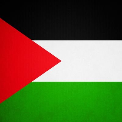 Save Palestine 🇵🇸 |
🩺MedStudent, 🏏 CricFan, 📚Book Lover |