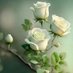 Umme Hassanاُمِّ حَسَن (@ozrqdqeqim8v4os) Twitter profile photo Umme Hassanاُمِّ حَسَن (@ozrqdqeqim8v4os) Twitter profile photo