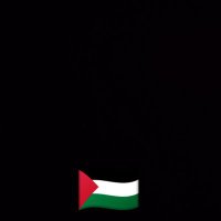 Alaa Khaled (@alaakha04312273) 's Twitter Profile Photo