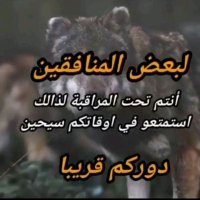 يمن الإيمان والحكمة حماه الله(@mynlmdldd199339) 's Twitter Profile Photo