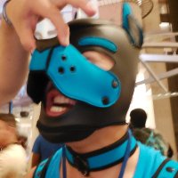 FUckInG StoOpId @ MFF!! (@cobaltthepup) 's Twitter Profile