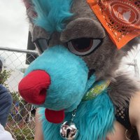 WhorebitTheWolf (@orbitwf) 's Twitter Profile