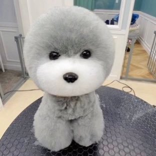 dyingwitstyle's profile picture. "●▬▬▬▬▬▬▬▬▬▬▬ஜ۩۞۩ஜ▬▬▬▬▬▬▬▬▬▬▬●
░░░░░░░░░░ WELCOME TO MY PROFILE ░░░░░░░░░
●▬▬▬▬▬▬▬▬▬▬▬ஜ۩۞۩ஜ▬▬▬▬▬▬▬▬▬▬▬●"