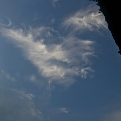 obi88310's profile picture. 