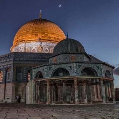 246ASH20's profile picture. 