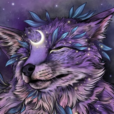 23, I'm/Him | #Skol + Tampa sports fan | Data Scientist/NetSec